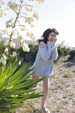《我的漂亮朋友》电视剧