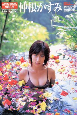 种子帝