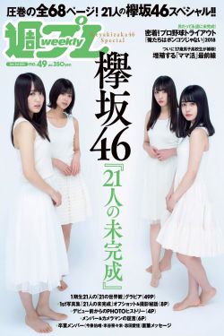 荷花淀原文